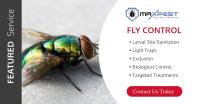 MAX Flies Control Brisbane image 4